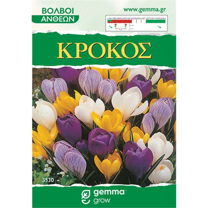 Κρόκος Mίγμα